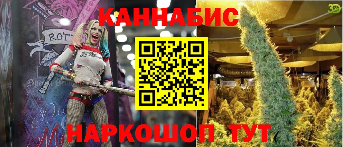 МАРИХУАНА сатива Канск